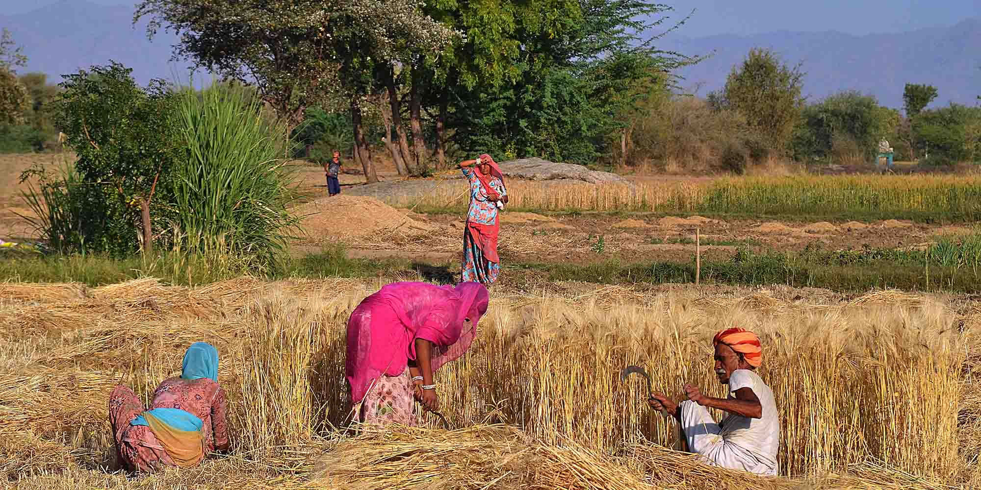 Mahout Routes Eastern Rajasthan