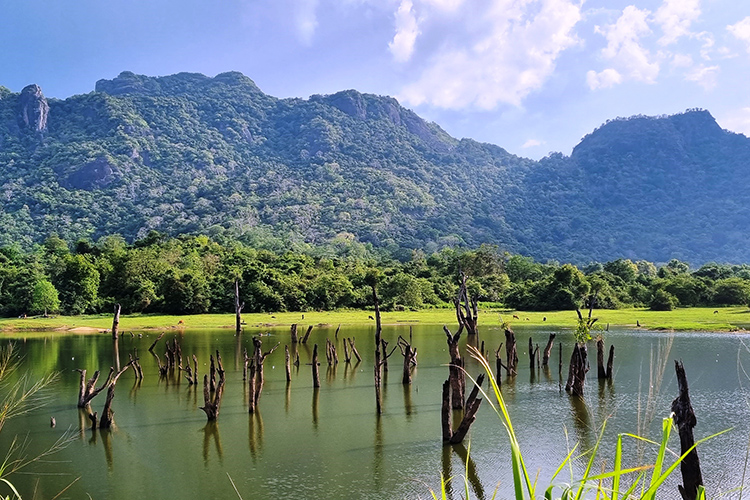 Sri Lanka