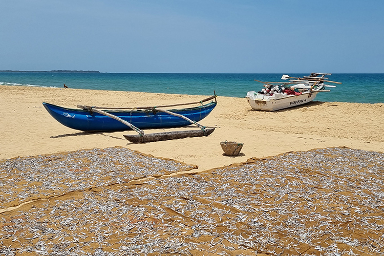 Sri Lanka